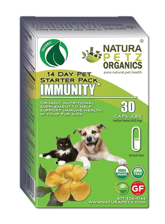 Immunity Booster Pack for Dogs & Cats-1