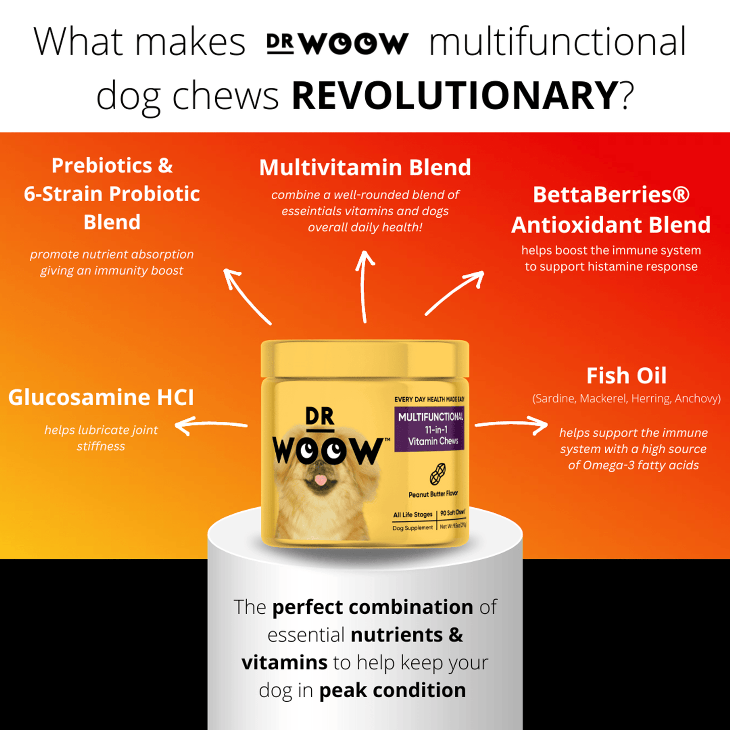 Dr Woow 11-in-1 Premium Vitamin Chews for Dogs