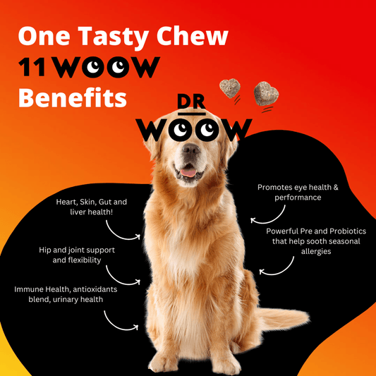 Dr Woow 11-in-1 Premium Vitamin Chews for Dogs
